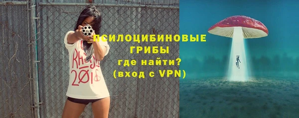 прущий лед Белокуриха