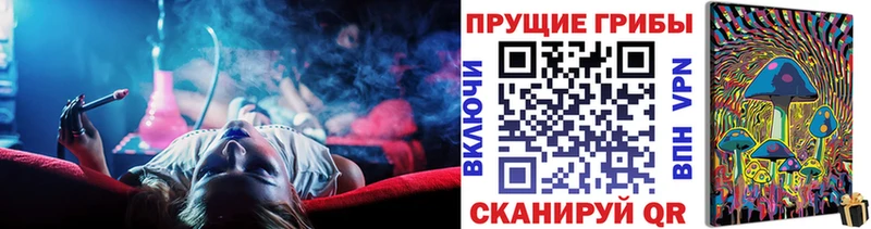 купить  цена  Бор  Галлюциногенные грибы Psilocybine cubensis 